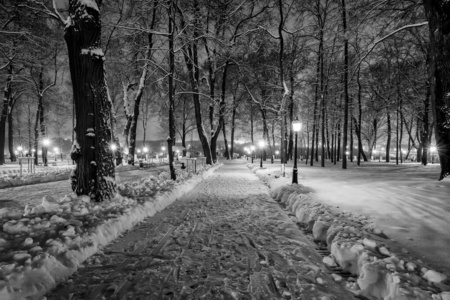 夜间冬季公园
