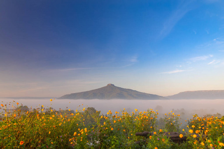 黄昏 夏天 秋天 太阳 国家 环境 黎明 天亮 风景 颜色