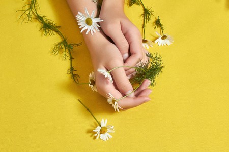 女孩的手，黄色背景上有美丽的雏菊花。
