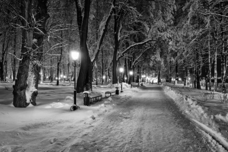 冬天晚上在城里散步。单色的。