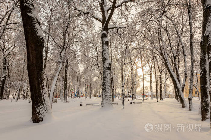 冬天的公园，树上覆盖着雪。