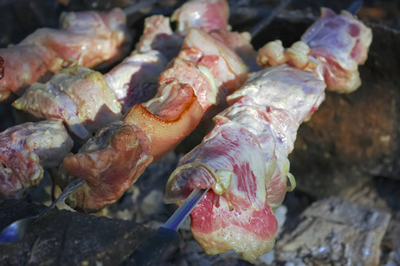 串上的烤肉串是在森林里用石头做的火盆上炸的。