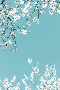 绿松石背景上的花卉抽象艺术，复古樱桃流