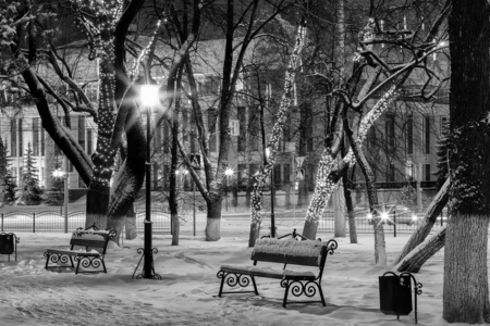 晚上的冬季公园。单色的。