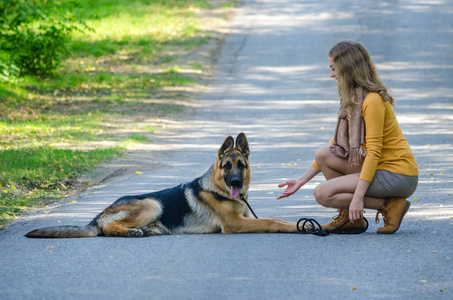 一个女孩和一只德国牧羊犬坐在树林里的路上。对动物的训练。年幼听话的少年小狗给女主人爪子。在黄绿秋色的树木背景上。