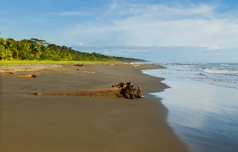 哥斯达黎加海滩图片