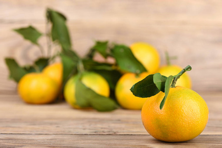 New crop tangerines on a wooden background. 