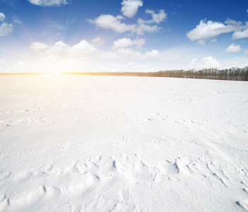 天空和阳光下被白雪覆盖的田野。