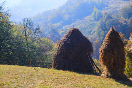 乡村秋景