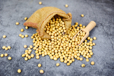 Soybean agricultural products on the sack  dry soy beans 