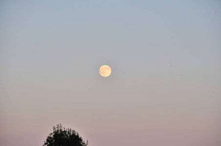 黄昏的月亮