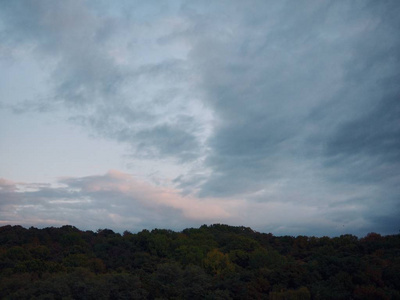 森林 期待 山谷 美丽的 草地 亚洲 天空 签名 暴风雨