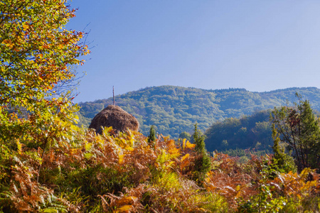 秋景田园美景