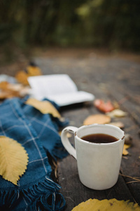 秋天公园的一张旧木桌上放着一本打开的书，一块蓝色格子，一个带灯的花环，一杯黄叶和sos锥。俯视图，模糊。秋日暖暖幽暗的心情，柔和