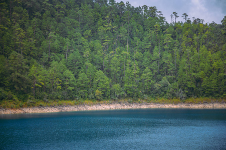 旅行 天空 风景 小山 海岸 国家的 海湾 夏天 森林 公园