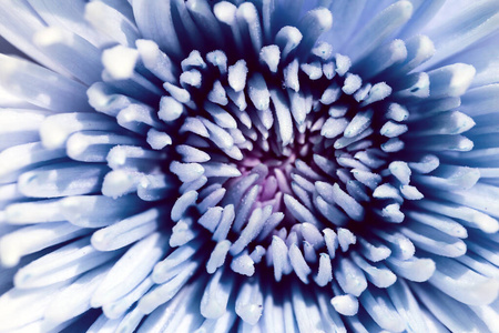 大特写图片-大特写素材-大特写插画-摄图新视界