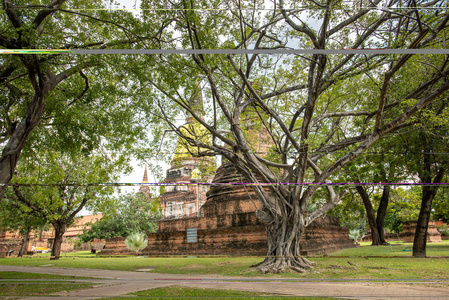 泰国的寺庙泰国大城府历史公园Wat Yai Chai Mongkhon的古塔