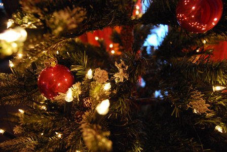 圣诞节 冷杉 愉快的 庆祝 假期 十二月 季节 冬天 新年