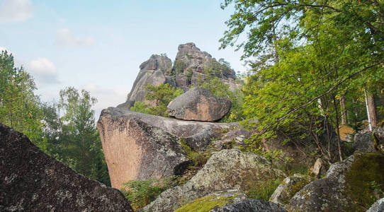 山光山色，针叶林茂密