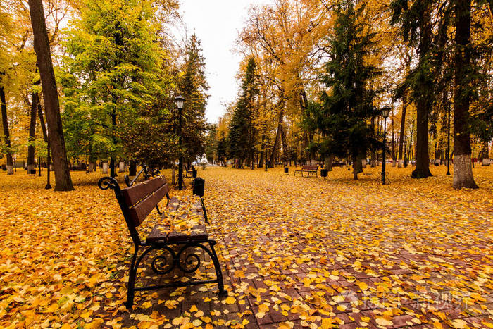 秋天公园里的落叶带着长凳