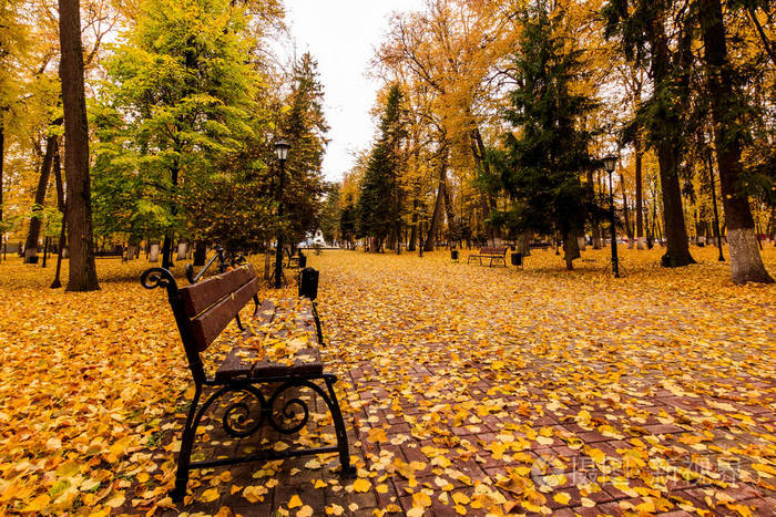 秋天公园里的落叶带着长凳