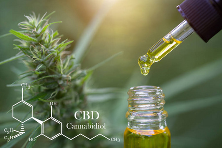 柚皮素 合成_合成大痳素是第幾代_合成蝦青素