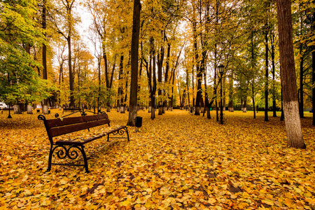秋天公园里的落叶带着长凳.照片