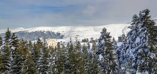 房子 自然 冬天 旅行 寒冷的 滑雪 风景 酒店 阿尔卑斯山