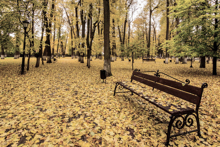 秋天公园里的落叶带着长凳。