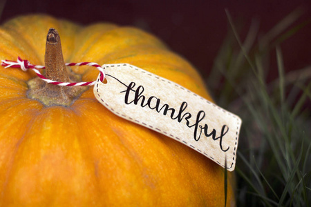 The inscription Happy Thanksgiving on the pumpkin