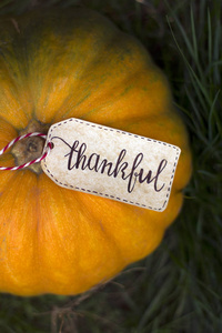 The inscription Thankful on the pumpkin. Thanksgiving Day