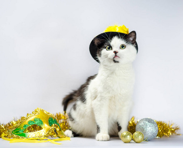黑白相间的猫戴着圣诞装饰帽图片