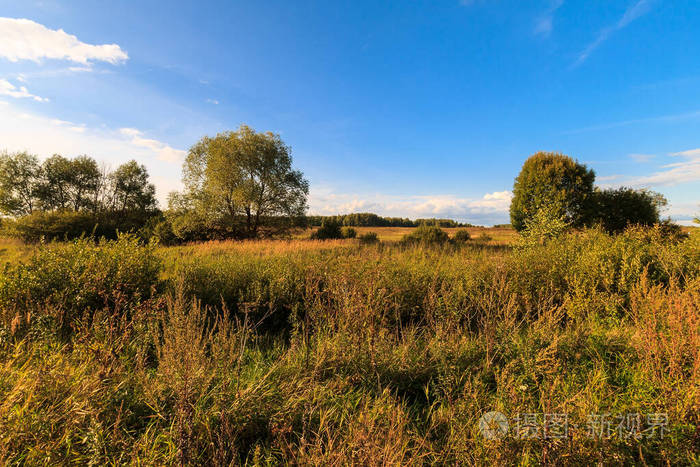 秋天的景色草地上绿草茵茵天空乌云密布