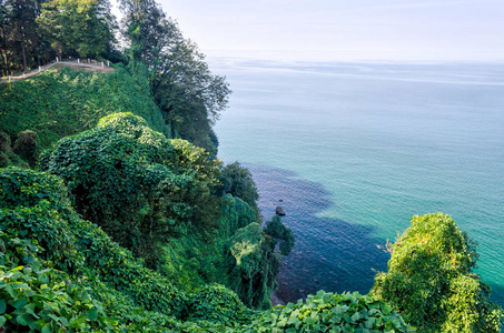 佐治亚州的风景海和山林图片