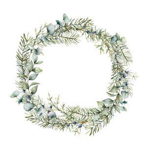 水彩冬日花环与杜松树和桉树枝。手工绘制的浆果和叶子组成的隔离白色背景。假日花卉插画设计，印刷或背景。