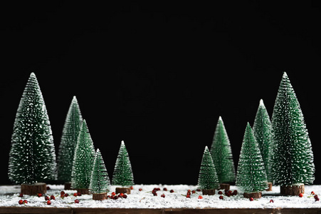 圣诞雪黑背景上的松树