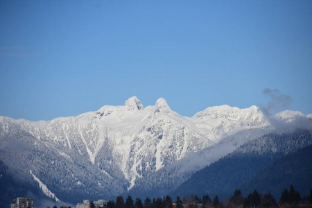 风景 全景图 滑雪 森林 范围 阿尔卑斯山 自然 岩石 高的