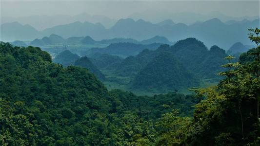 山谷 亚洲 瓷器 农业领域 土地 季节 旅行 自然 种植园