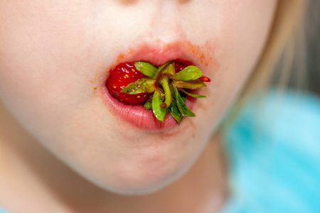 小女孩吃新鲜草莓特写镜头