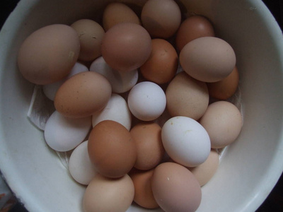 纸箱 蛋白质 鸡蛋 蛋壳 市场 食物 特写镜头 早餐 复活节