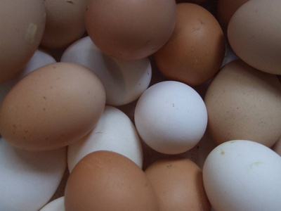 特写镜头 营养 复活节 蛋白质 农场 早餐 鸡蛋 食物 市场