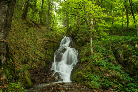 Mountain waterfall named Ropote in early summer