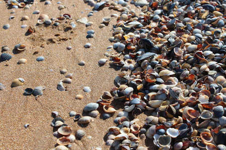 假期 夏天 海岸 砾石 纹理 材料 自然 卵石 海洋 岩石