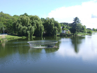 森林 夏天 池塘 反射 天空 风景 公园 美女 自然 美丽的