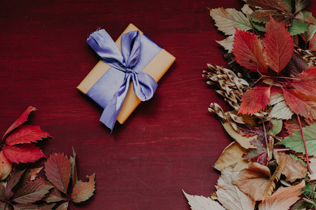 秋天的礼物图片