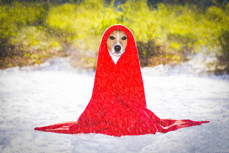 十万个冷笑话雪中冻狗照片