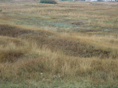 旅游业 领域 小山 腐蚀 天空 草地 乌克兰 公园 美丽的