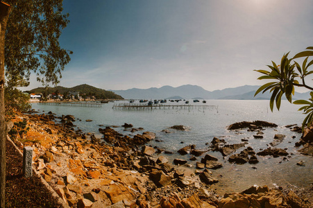 美丽的 放松 风景 码头 日落 旅行 太阳 海滩 海洋 海岸