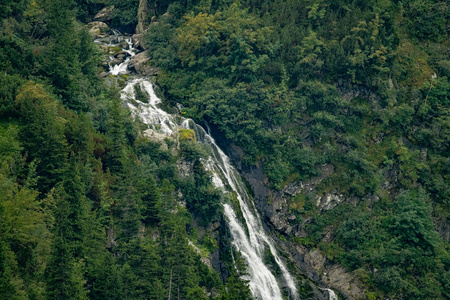 环境 山谷 风景 森林 流动 岩石 旅行 旅游业 罗马尼亚