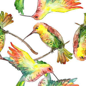 野生动物中的天空鸟科利布里。水彩背景插图集。无缝背景图案。